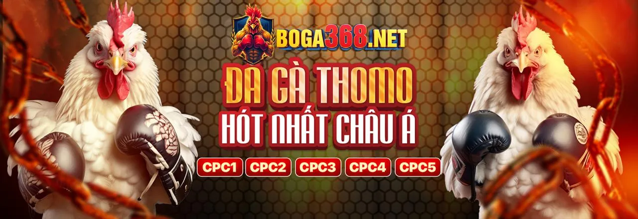 Đá Gà Trực Tuyến 123dzo